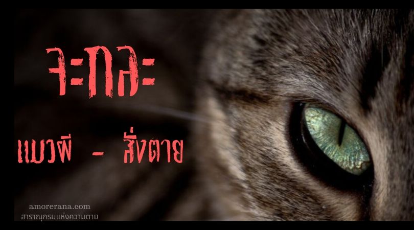 ผีจะกละ แมวผี – สั่งตาย