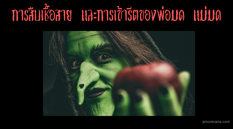 การสืบเชื้อสาย และการเข้ารีตของพ่อมด แม่มด