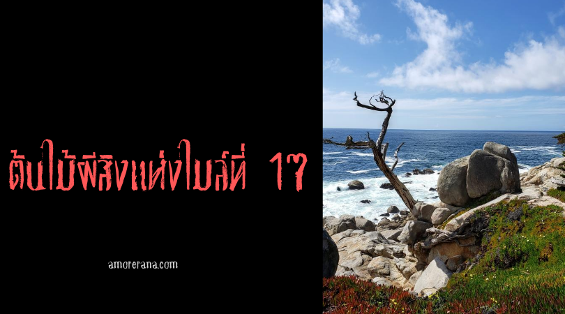 ต้นไม้ผีสิงแห่งไมล์ที่ 17