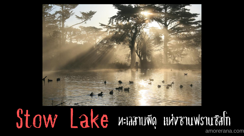 Stow Lake ทะเลสาบผีดุ แห่งซานฟรานซิสโก