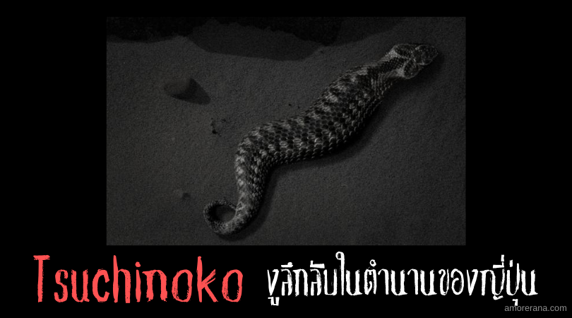Tsuchinoko งูลึกลับในตำนานของญี่ปุ่น