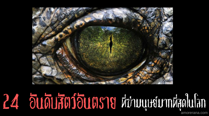 24 อันดับ สัตว์อันตรายที่ฆ่ามนุษย์มากที่สุดในโลก