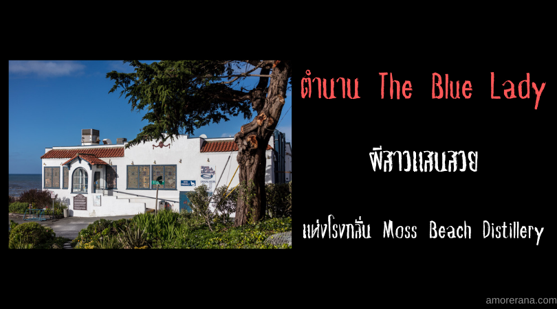 ตำนาน The Blue Lady ผีสาวแสนสวยแห่งโรงกลั่น Moss Beach Distillery
