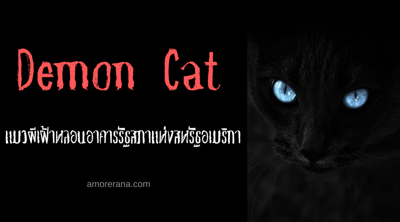 Demon Cat แมวผีเฝ้าหลอนอาคารรัฐสภาแห่งสหรัฐอเมริกา