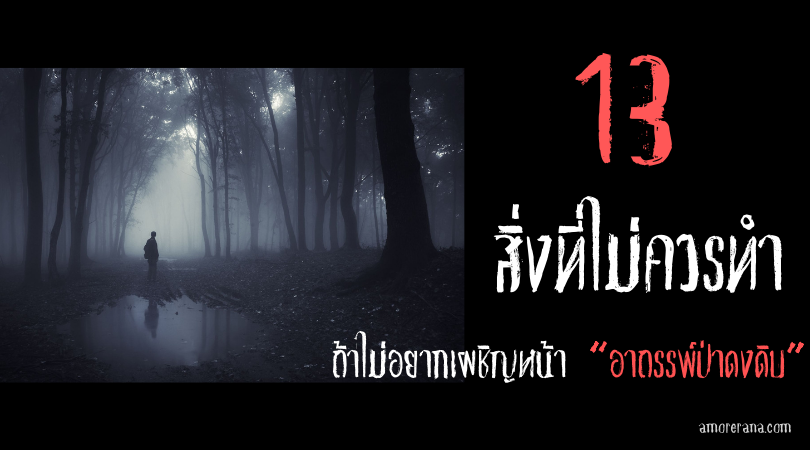 13 สิ่งที่ไม่ควรทำ ถ้าไม่อยากเผชิญหน้า “อาถรรพ์ป่าดงดิบ”