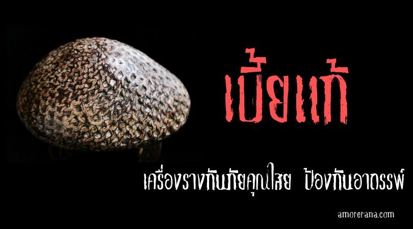 เบี้ยแก้ เครื่องรางกันภัยคุณไสย ป้องกันอาถรรพ์
