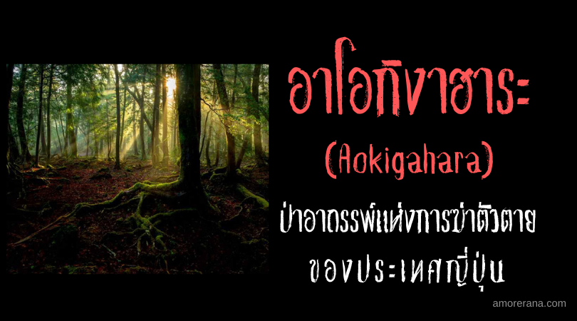 อาโอกิงาฮาระ (Aokigahara) ป่าอาถรรพ์แห่งการฆ่าตัวตายของประเทศญี่ปุ่น