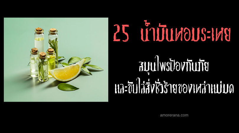 25 น้ำมันหอมระเหย สมุนไพรป้องกันภัยและขับไล่สิ่งชั่วร้ายของเหล่าแม่มด
