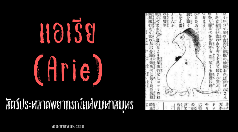 แอเรีย (Arie) สัตว์ประหลาดพยากรณ์แห่งมหาสมุทร