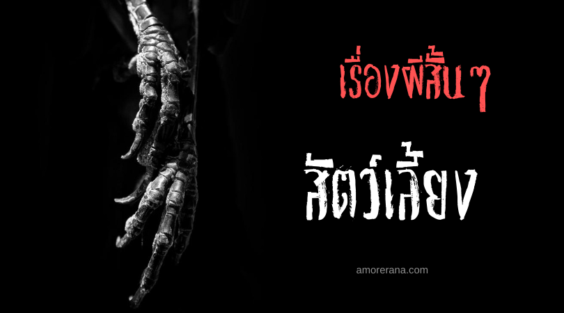 เรื่องผีสั้นๆ “สัตว์เลี้ยง”