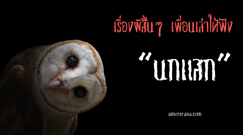 เรื่องผีสั้นๆ เพื่อนเล่าให้ฟัง “นกแสก”