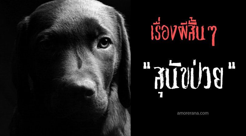 เรื่องผีสั้นๆ “สุนัขป่วย”