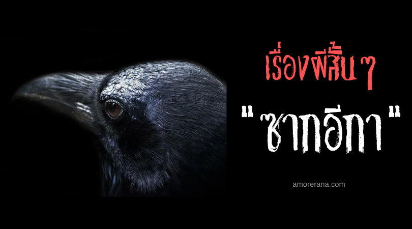 เรื่องผีสั้นๆ “ซากอีกา”