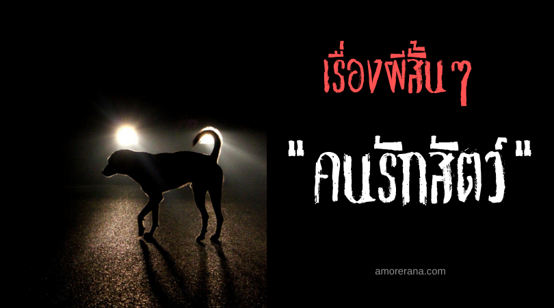 เรื่องผีสั้นๆ “คนรักสัตว์”