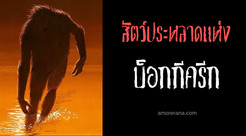 สัตว์ประหลาดแห่งบ็อกกีครีก (Boggy Creek Monster) อมนุษย์ปริศนาแห่งสหรัฐอเมริกา