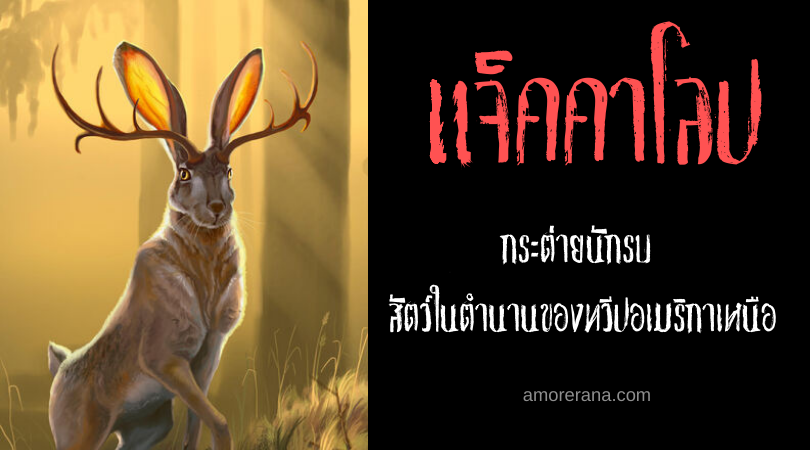 แจ็คคาโลป (Jackalope) กระต่ายนักรบ สัตว์ในตำนานของทวีปอเมริกาเหนือ