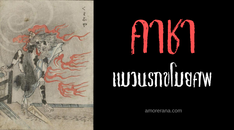 คาชา (Kasha) แมวนรกขโมยศพ ภูตผีของประเทศญี่ปุ่น