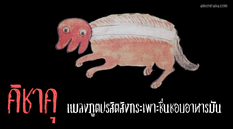 คิชาคุ (Kishaku) แมลงภูตปรสิตสิงกระเพาะชื่นชอบอาหารมัน แห่งประเทศญี่ปุ่น