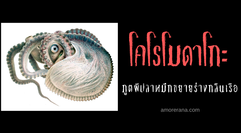 ตำนานผีญี่ปุ่น โคโรโมดาโกะ (Koromodako) ภูตผีปลาหมึกขยายร่างกลืนเรือ