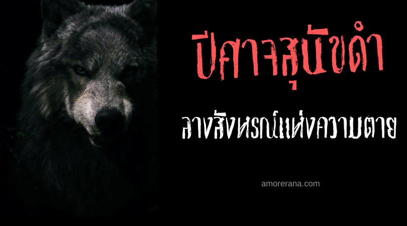 [ปีศาจสุนัขดำ] ลางสังหรณ์แห่งความตาย ของทวีปตะวันตก