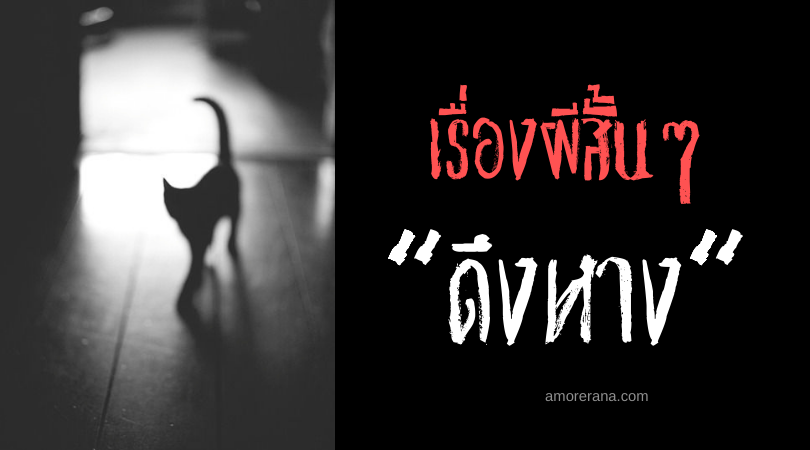 เรื่องผีสั้นๆ “ดึงหาง”