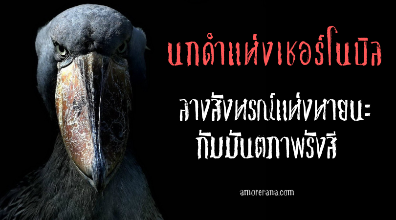 นกดำแห่งเชอร์โนบิล (Black Bird of Chernobyl) ลางสังหรณ์แห่งหายนะกัมมันตภาพรังสี แห่งประเทศยูเครน