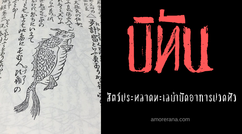 ตำนานผีญี่ปุ่น บิทัน (Bitan) สัตว์ประหลาดทะเลบำบัดอาการปวดหัว