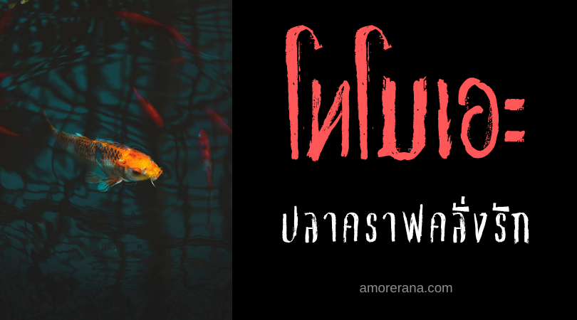 ตำนานผีญี่ปุ่น โทโมเอะ (Tomoe) ปลาคราฟคลั่งรัก