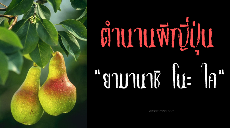 ตำนานผีญี่ปุ่น ยามานาชิ โนะ ไค (Yamanashi no kai) วิญญาณประหลาดแห่งต้นแพร์ป่า