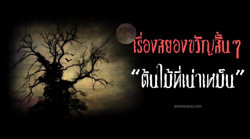 เรื่องสยองขวัญสั้นๆ “ต้นไม้ที่เน่าเหม็น”