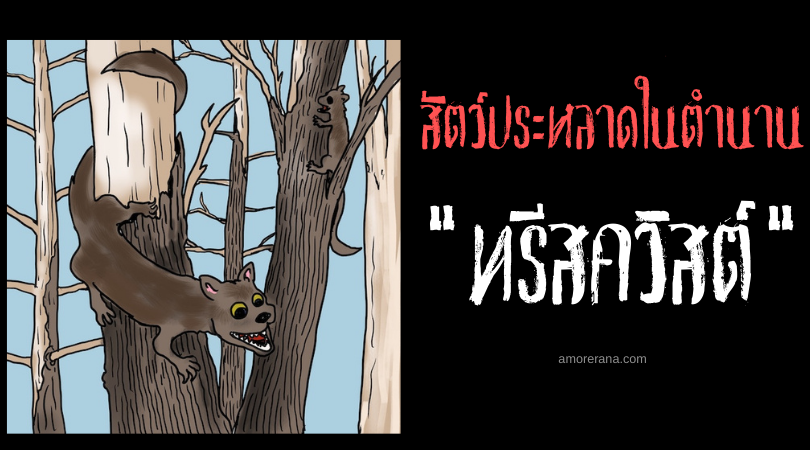 ทรีสควิสต์ (Treesqueak) เสียงเพรียกปริศนาแห่งผืนป่า ทวีปอเมริกา