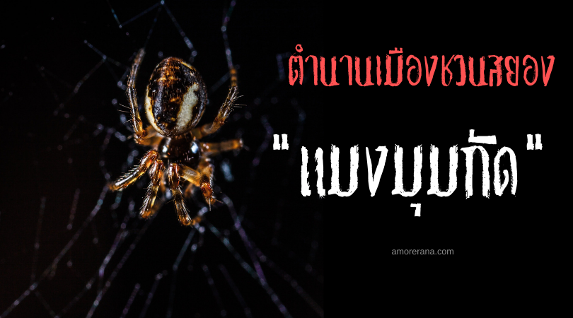 “แมงมุมกัด” (The Spider Bite) ตำนานเมืองชวนสยองของประเทศสหรัฐอเมริกา