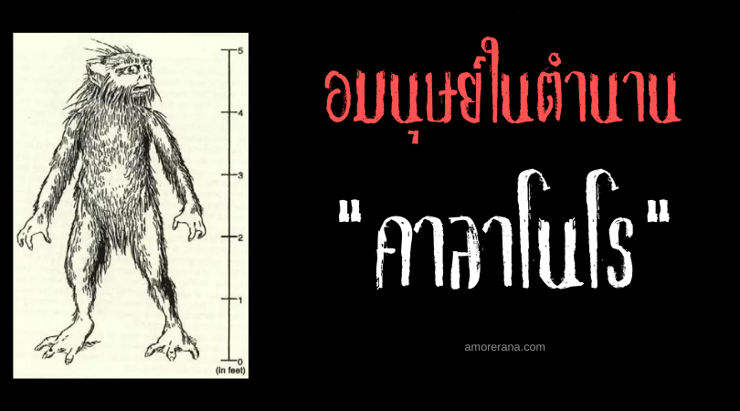 คาลาโนโร (Kalanoro) อมนุษย์ขนดก สาธารณรัฐมาดากัสการ์