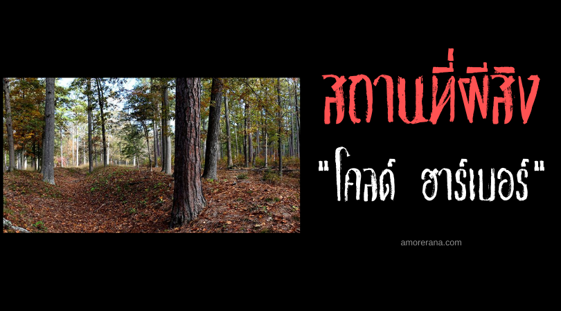 โคลด์ ฮาร์เบอร์ (Cold Harbor) สมรภูมิผีสิง ร่องรอยเลือดแห่งสงครามกลางเมืองอเมริกา