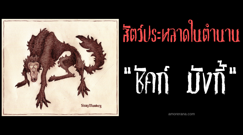 ชัคก์ มังกี้ (Shug Monkey) สัตว์ประหลาดขนปุยสีดำ ประเทศอังกฤษ