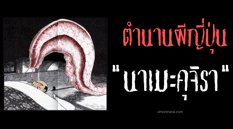 นาเมะคุจิรา (Namekujira) หอยทากยักษ์แห่งประเทศญี่ปุ่น