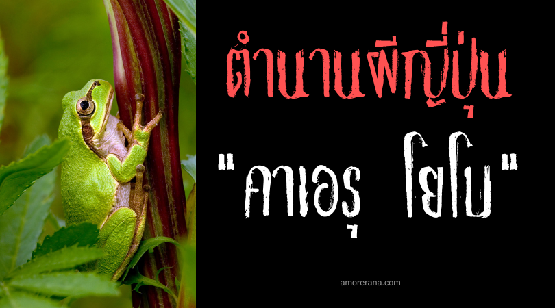 คาเอรุ โยโบ (Kaeru nyōbō) เจ้าสาวกบ ประเทศญี่ปุ่น