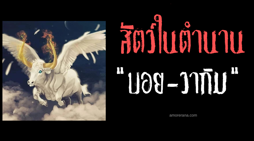 บอย-วากิม (Boi-Vaquim) กระทิงบินเขาทอง ประเทศบราซิล
