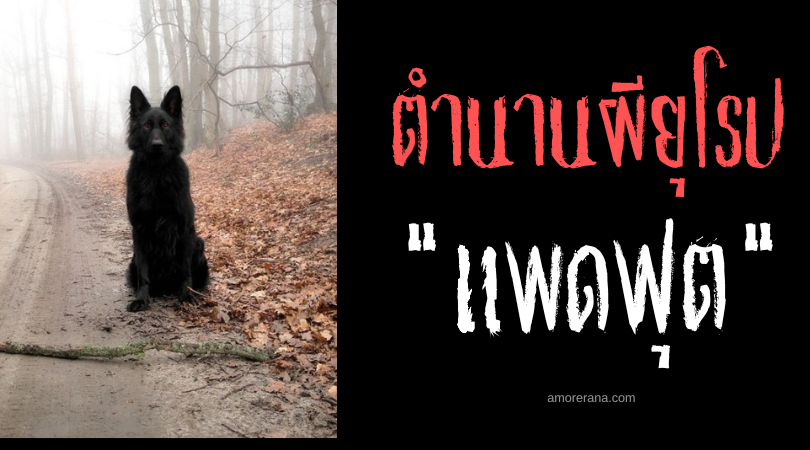 แพดฟุต (Padfoot) สุนัขปีศาจดำ ประเทศอังกฤษ