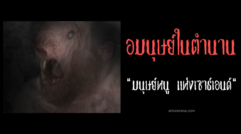 มนุษย์หนู แห่งเซาธ์เอนด์ (Ratman of Southend) ประเทศอังกฤษ