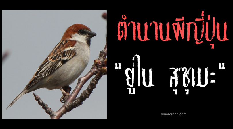 ยูไน สุซุเมะ (Nyūnai suzume) นกกระจอกอาฆาต พิฆาตวังจักรพรรดิญี่ปุ่น