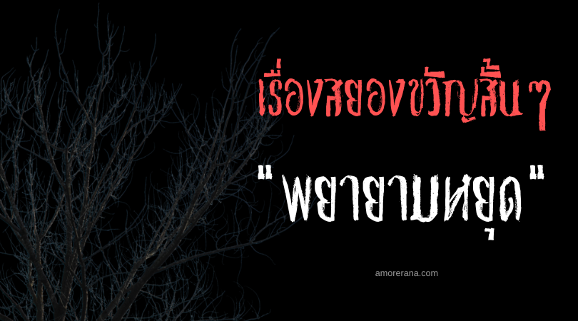 เรื่องสยองขวัญสั้น ๆ “พยายามหยุด”