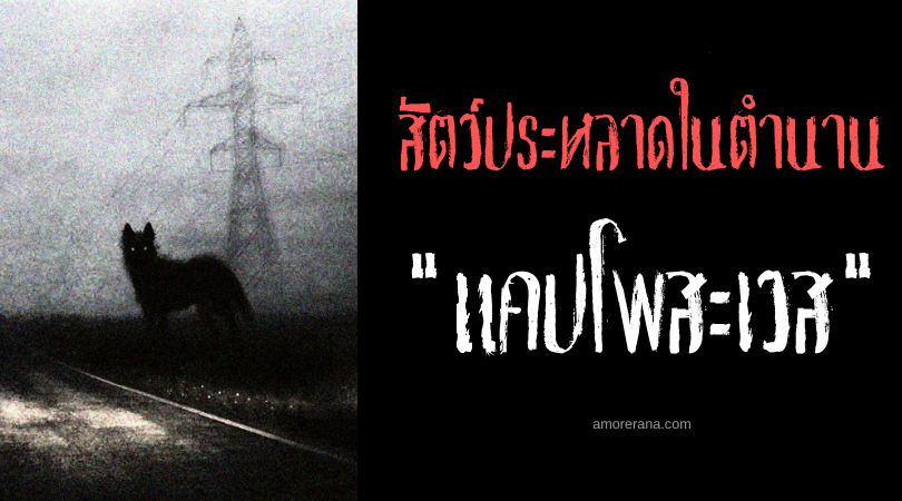 แคปโพสะเวส (Capelthwaite) สุนัขดำผู้เกรี้ยวกราดต่อคนแปลกหน้า แห่งประเทศอังกฤษ