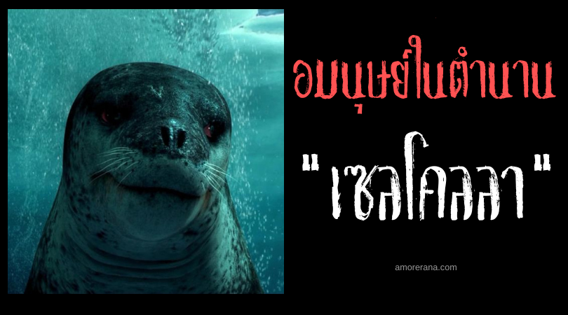 เซลโคลลา (Selkolla) อมนุษย์หัวแมวน้ำ ประเทศไอซ์แลนด์