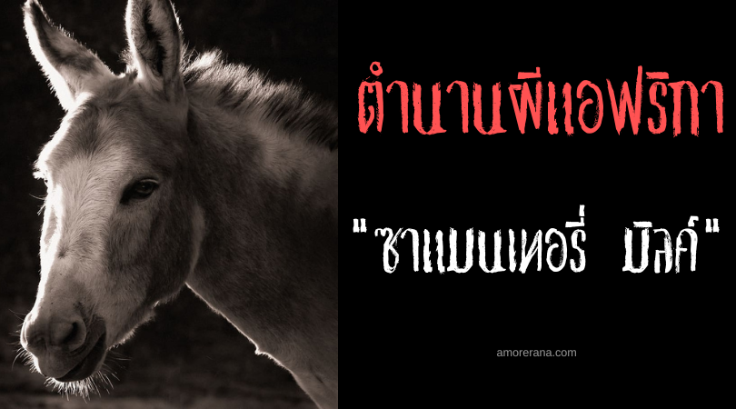 ตำนานผีโมร็อกโก ซาแมนเทอรี่ มิลค์ (Cemetery Mule) ล่อผู้ถูกสาปแห่งสุสาน