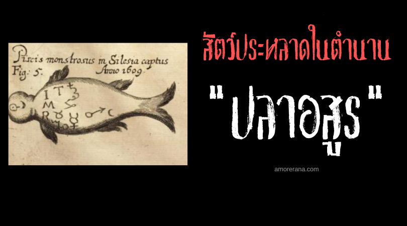 ปลาอสูร (Piscis monstrosus) ปริศนารอยสักบนผิวหนัง ตำนานยุโรปกลาง