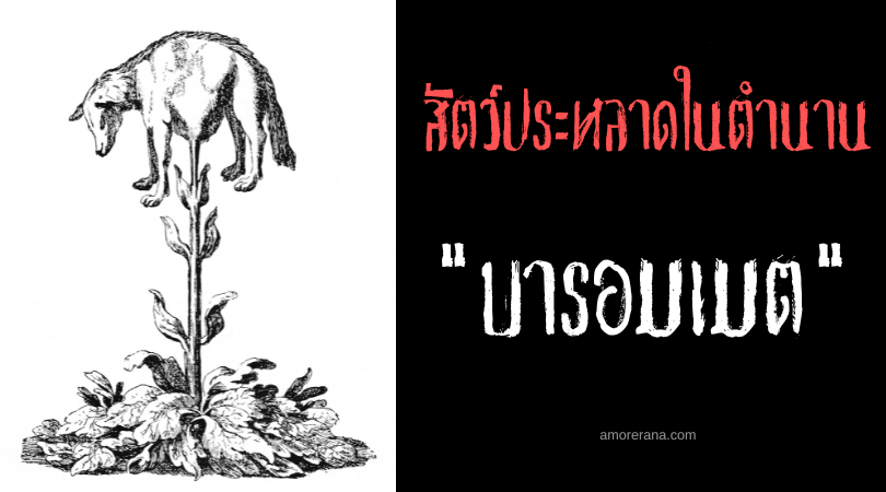 บารอมเมต (Barometz) ลูกแกะผักแห่งทาร์เดอรี่ ตำนานของทวีปยุโรป