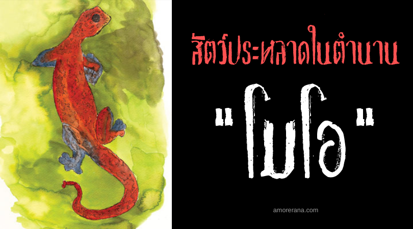 โมโอ (Mo'o) มังกรเหนือธรรมชาติ ตำนานเกาะฮาวาย