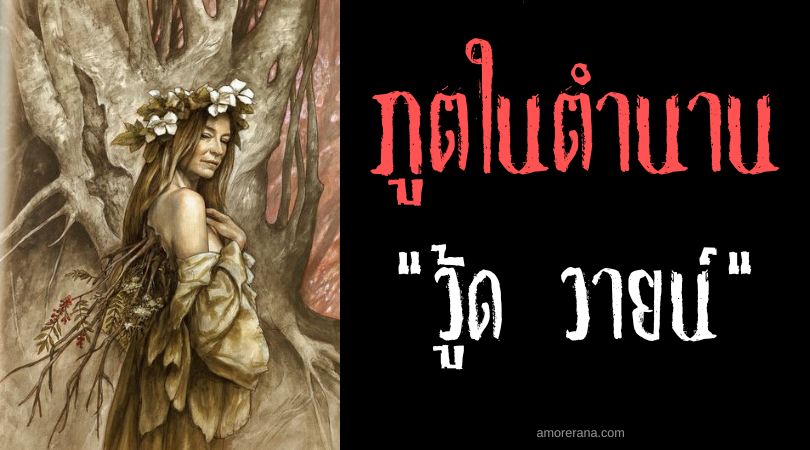 วู้ด วายน์ (Wood Wives) นางฟ้าผืนป่า ผู้อ่อนโยนและเหี้ยมโหด แห่งทวีปยุโรป