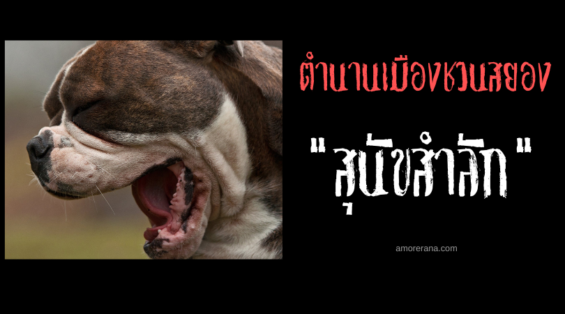 สุนัขสำลัก (The Choking Dog) ตำนานเมืองชวนสยองของประเทศออสเตรเลีย